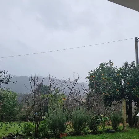 Planta Baja De La Casa Ferienhaus *